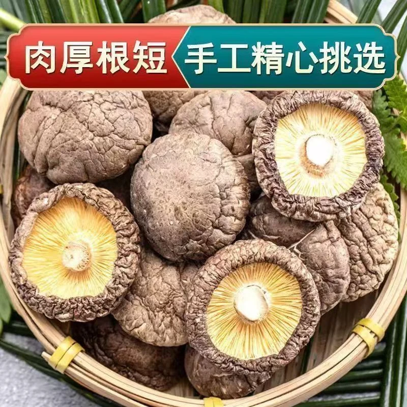 YY古田农家特产香菇干货肉厚无根可炖煮菌汤食用