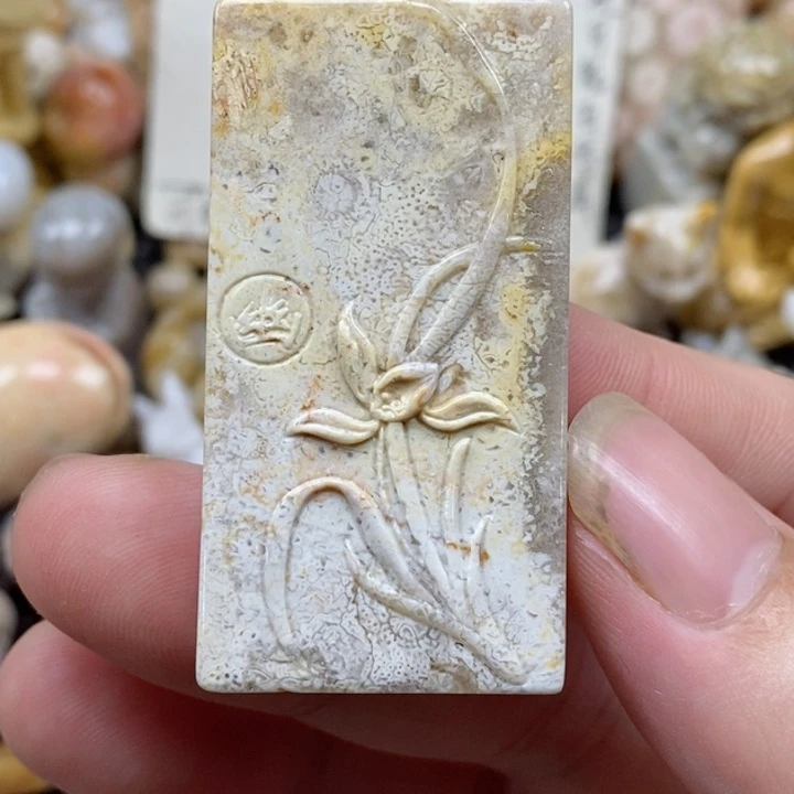 颈饰未镶嵌硅化珊瑚（珊瑚玉）