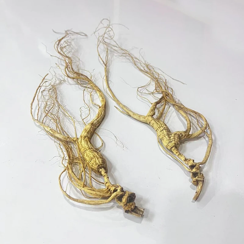 林下籽参，野山参品质，长白山特产，泡酒，煲汤，煮水，嚼食，送礼佳品