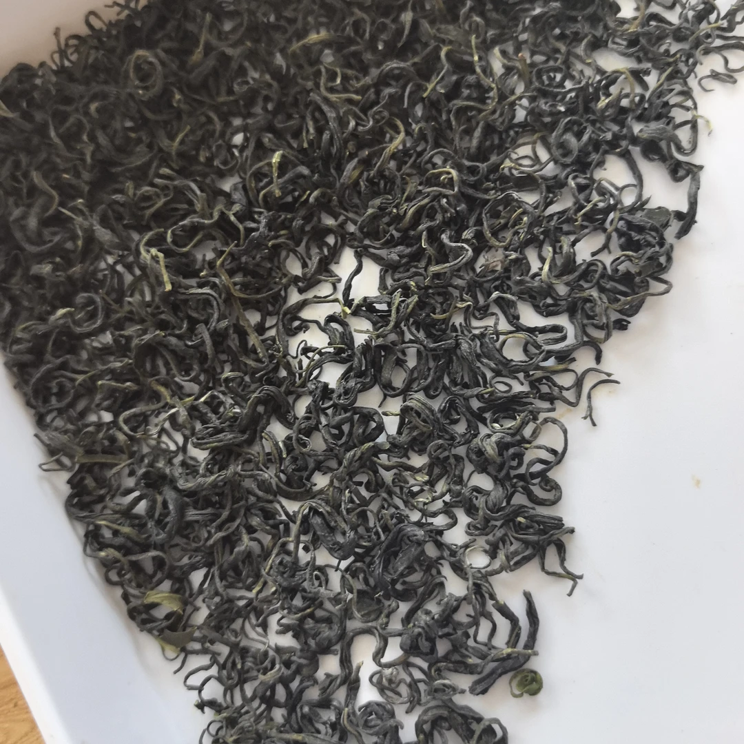 新茶松阳香茶炒青绿茶  浓香耐泡口感醇厚