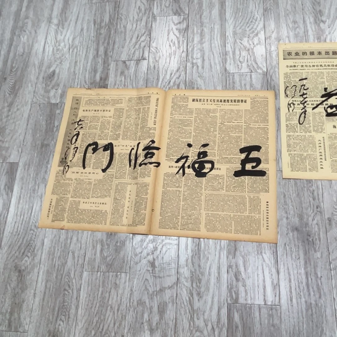 书法大***门书法精品一副