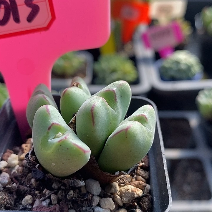 这种事也能说成一4013