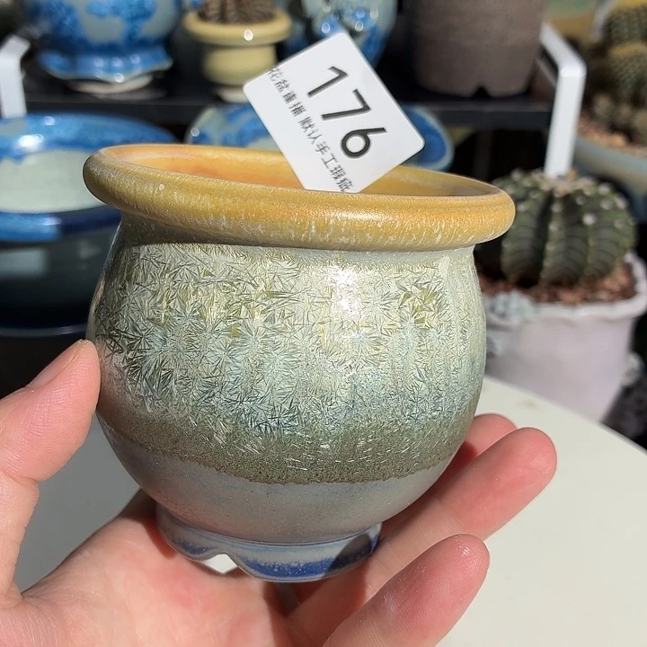 花盆开播福利来啦