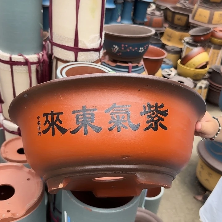 小红花盆花盆花盆花盆花盆