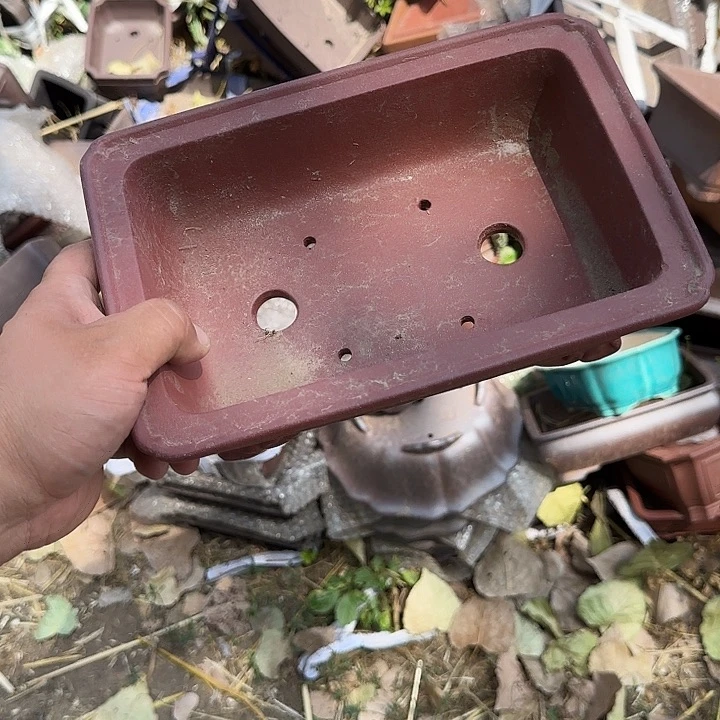 这里没有你家菜我是真的