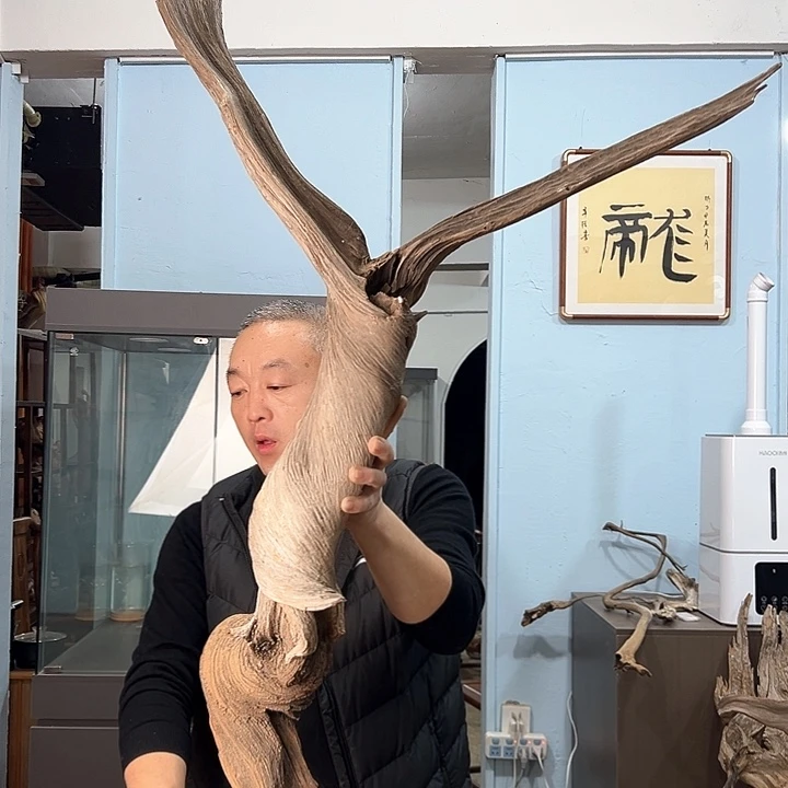 柏木兰*我们的生活也是如此吧