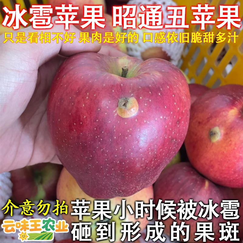 冰雹伤口苹果云南昭通丑苹果新鲜当季应季水果脆甜多汁整箱包邮
