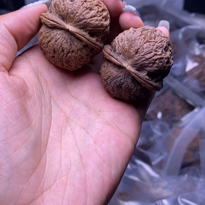 核桃云南野生铁核桃27号39mm