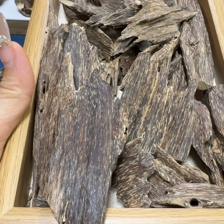 沉香碎屑沉香黄*海南沉香树心油虫漏96克