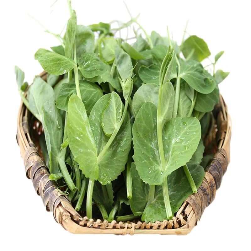 豌豆尖(新鲜)约250g