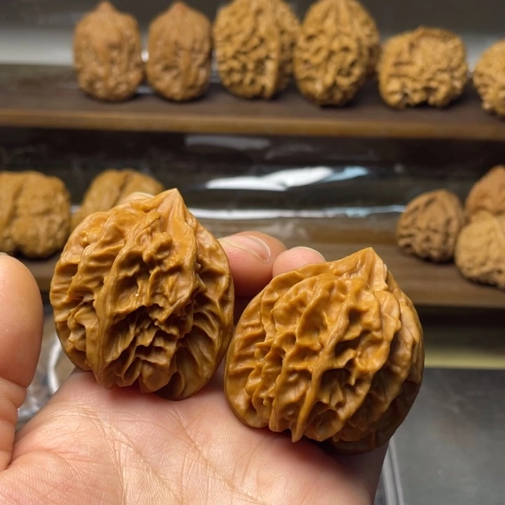 核桃曹大龙全品42.43.44