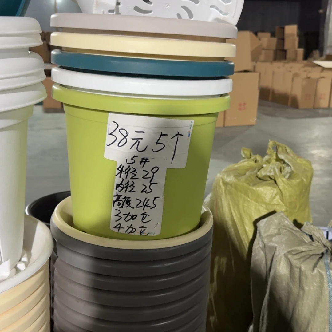 四季5#口径29无拖果绿5个