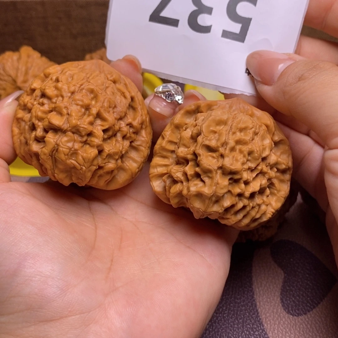 宾***文玩核桃把件537龙鼎49全品