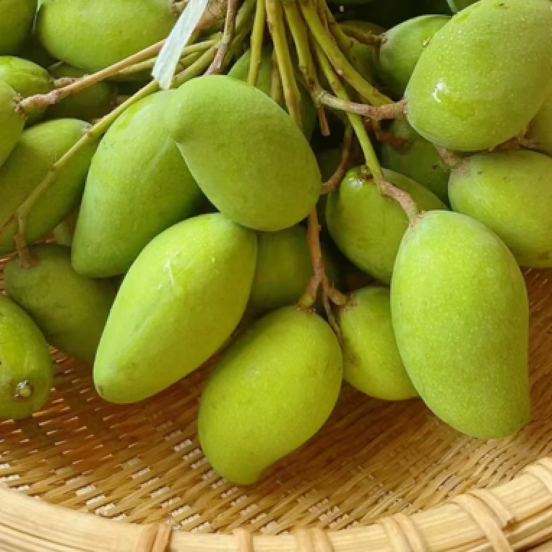 潮汕老品种芒果酸脆爽口现摘现发新鲜水果送酸梅汁