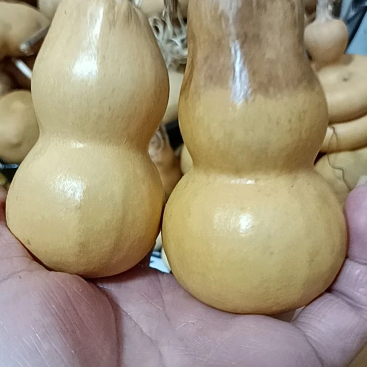 风*阡葫芦葫芦葫芦葫芦