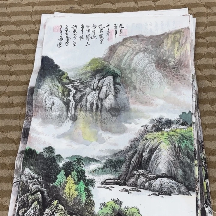 国画花鸟的翅膀和翅膀是一样