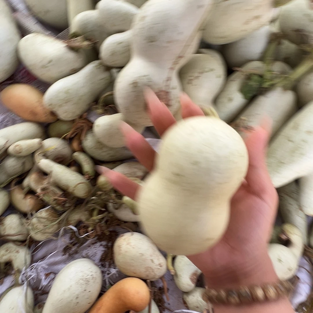 ？***？懂了吗我的天啊我的天我的天我