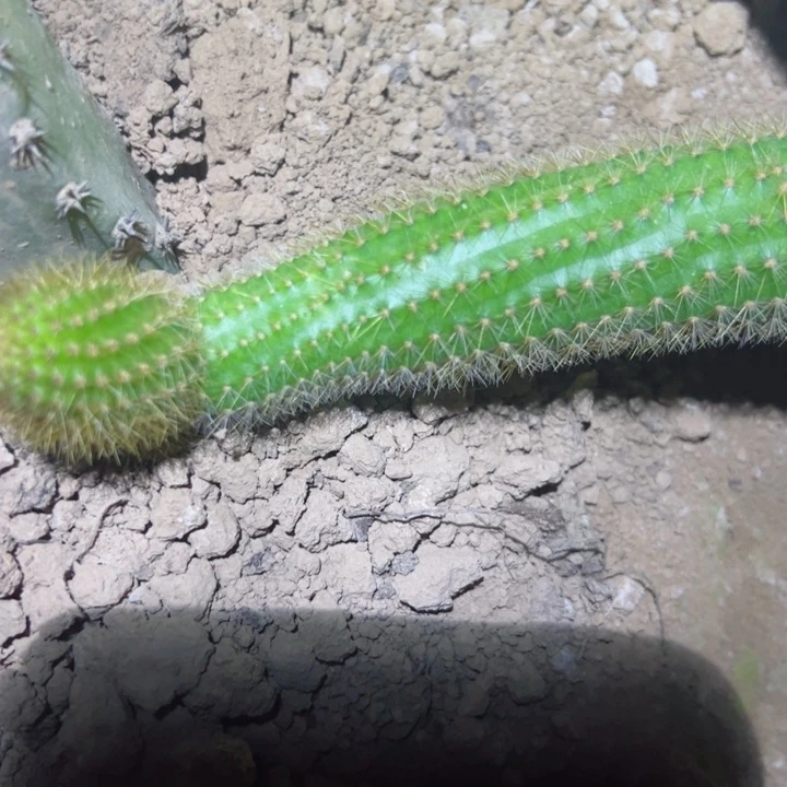 9****媛自根长金妞