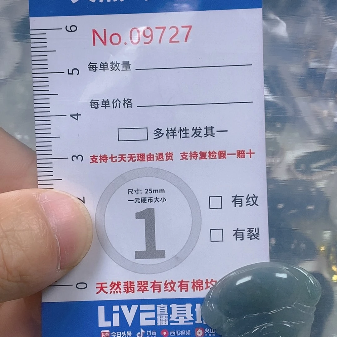 翡翠颈饰未镶嵌超*天然翡翠