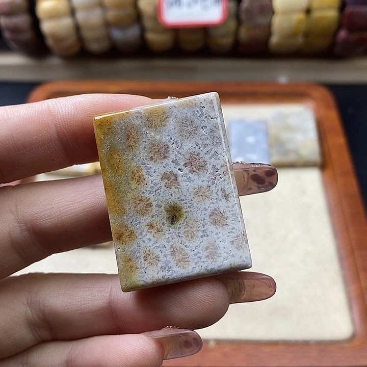 硅化珊瑚（珊瑚玉）未镶嵌颈饰