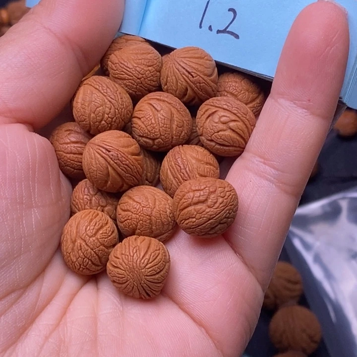 秦岭龙纹桃核20颗