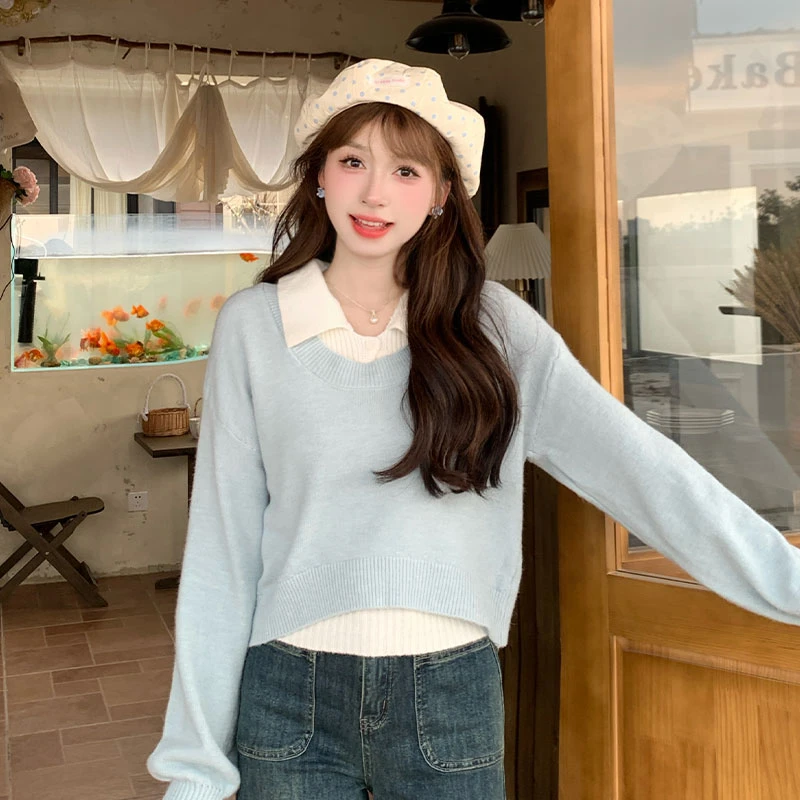 韩系穿搭长袖针织毛衣两件套女2024秋新款百搭小个子宽松显瘦外套