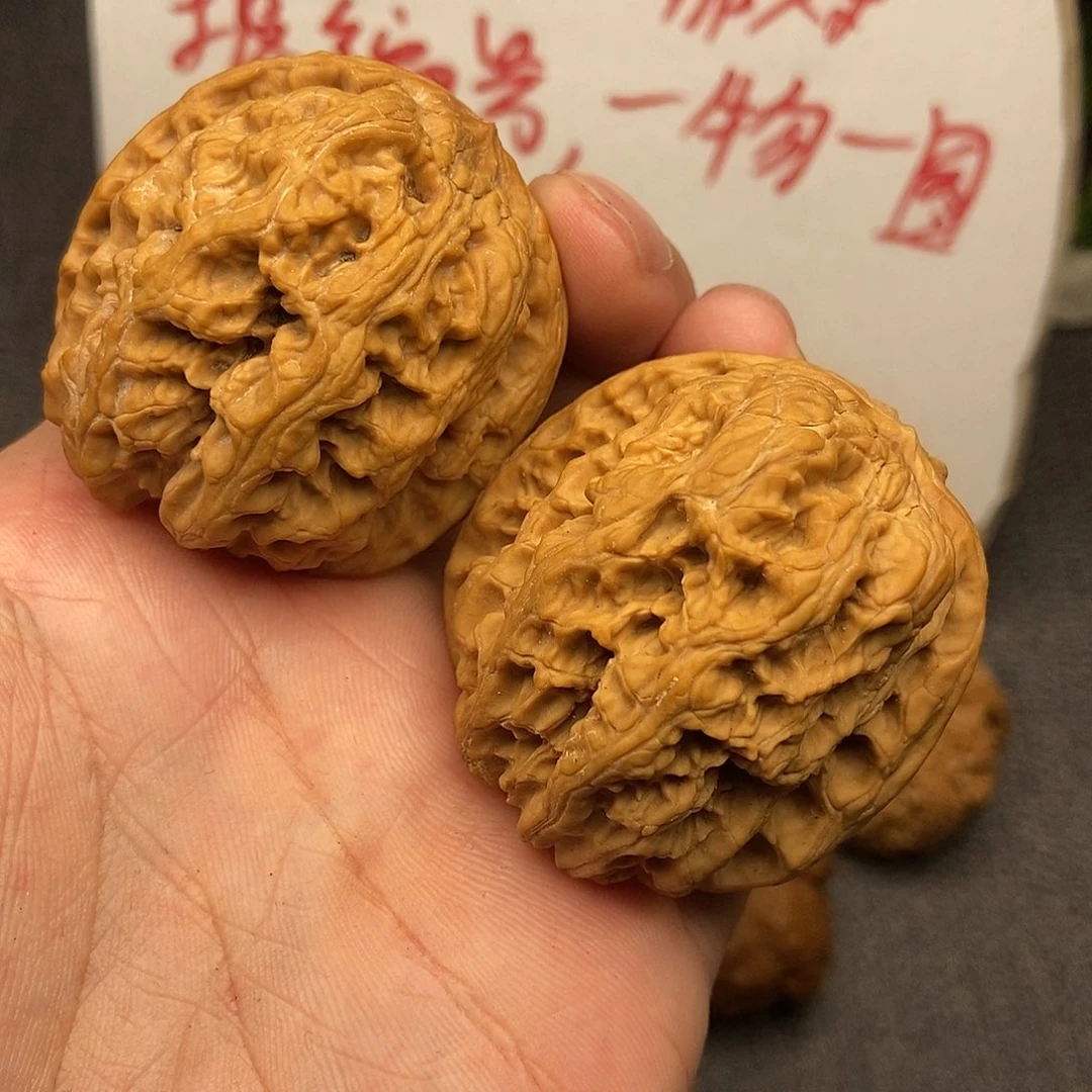 核桃将军膀43尺寸编号998