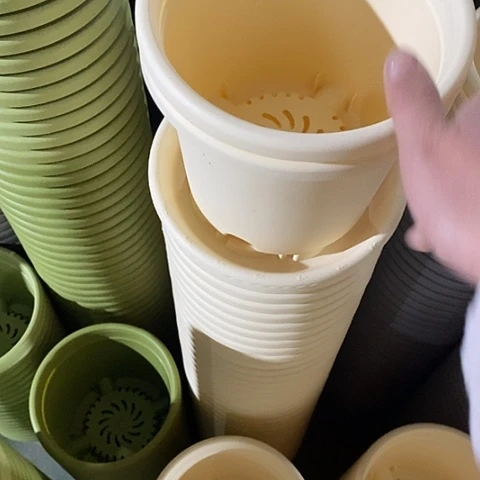 树脂四季2号6个带托米黄