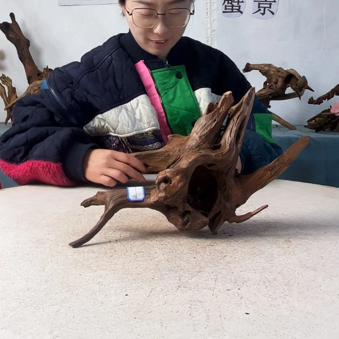 沉木造景爬宠造景