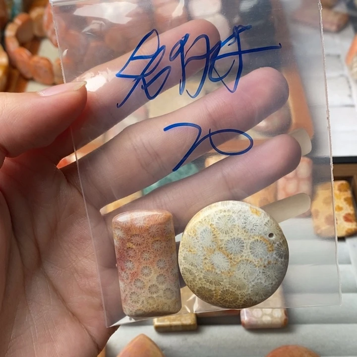 老***子硅化玉未镶嵌珊瑚玉