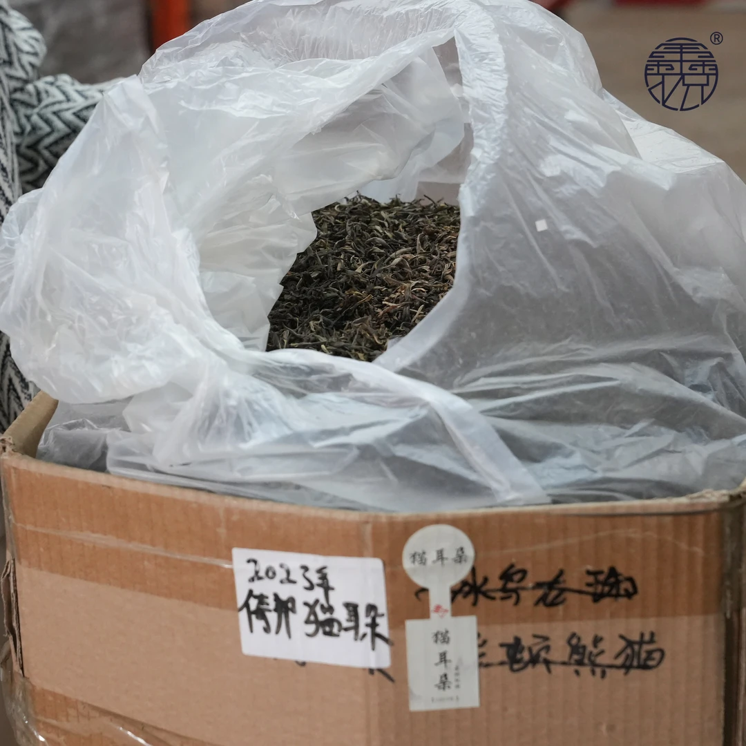 【鑫说】云南普洱---2023年头春猫耳朵一类古树散茶