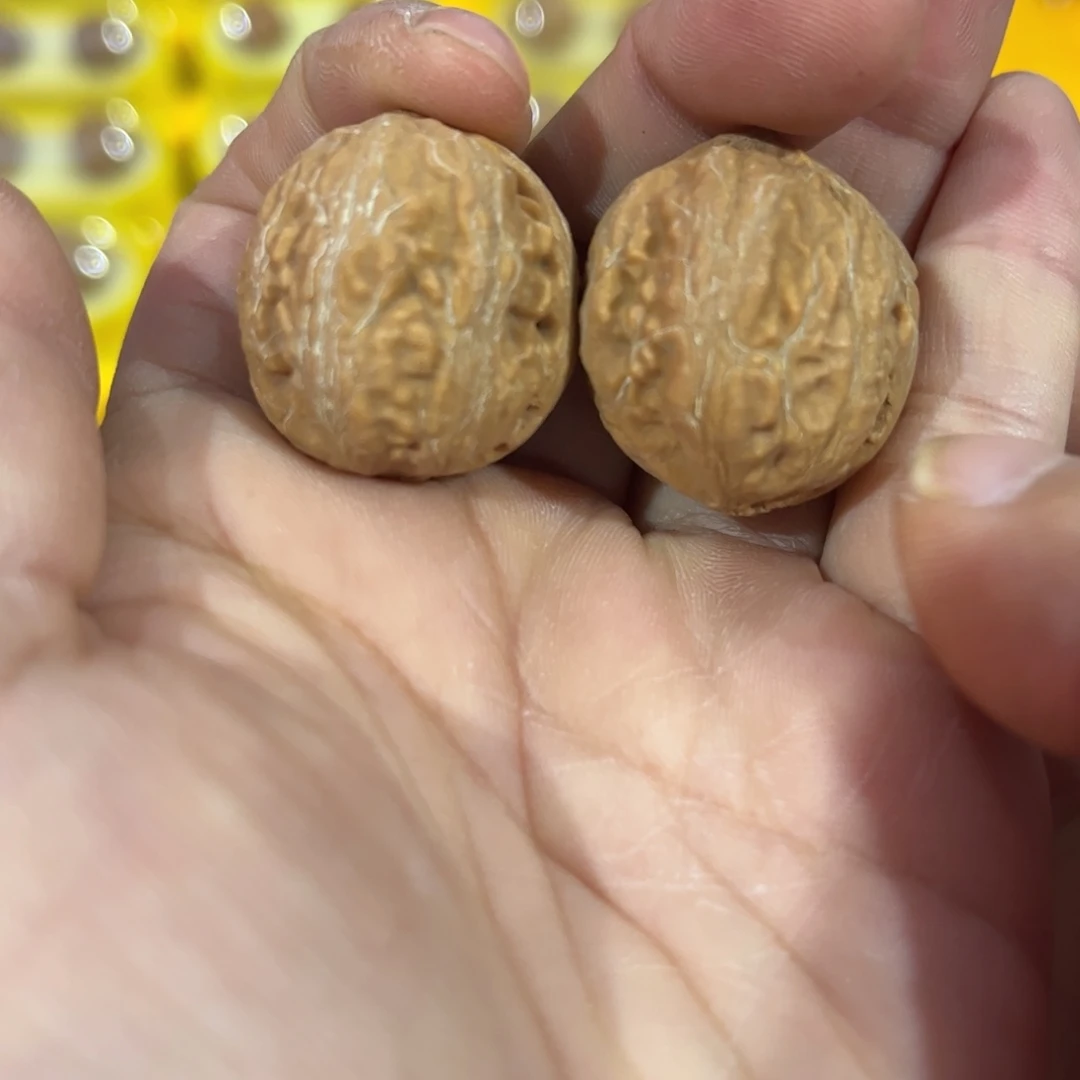 文玩核桃把件秋子核桃全品