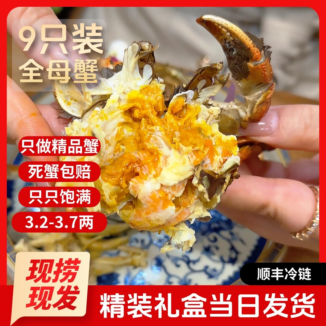 江苏精挑大阐蟹全母蟹 3.2-3.7两 6+3到手9只 活蟹现场捕捞
