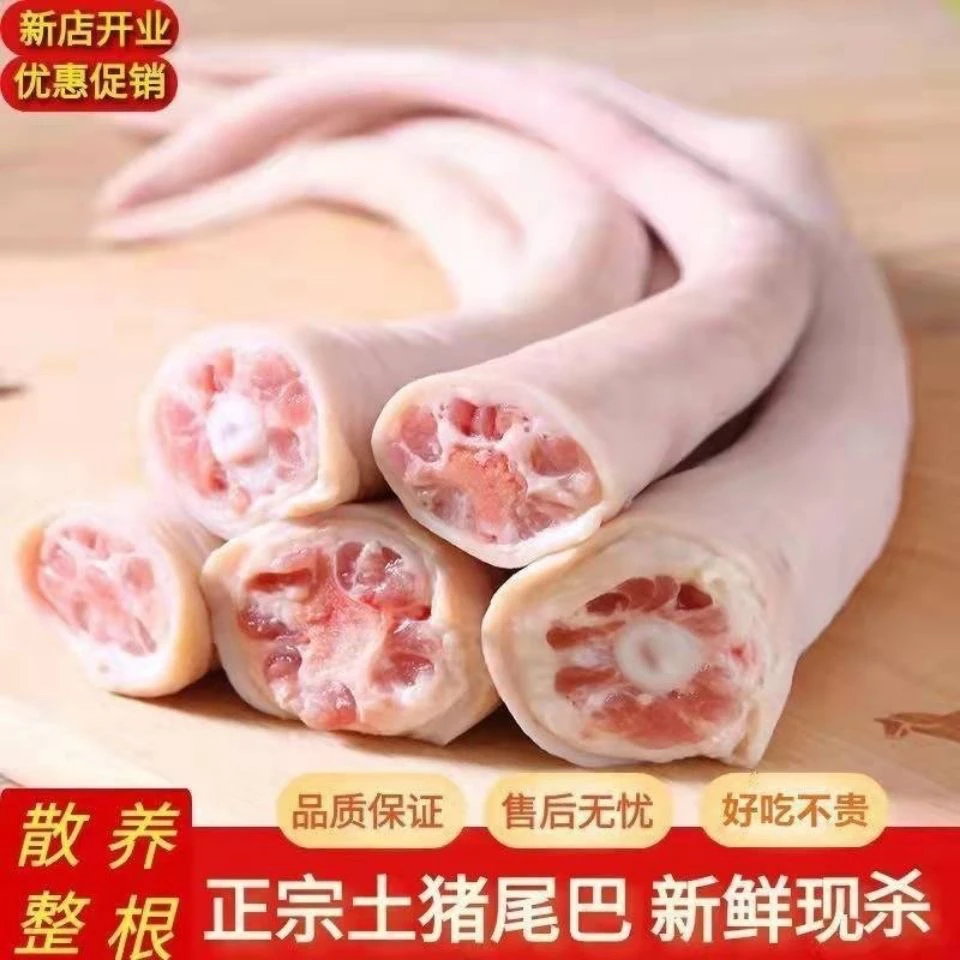 生猪尾巴新鲜现杀农家散养长尾巴短尾整根带皮批发包邮