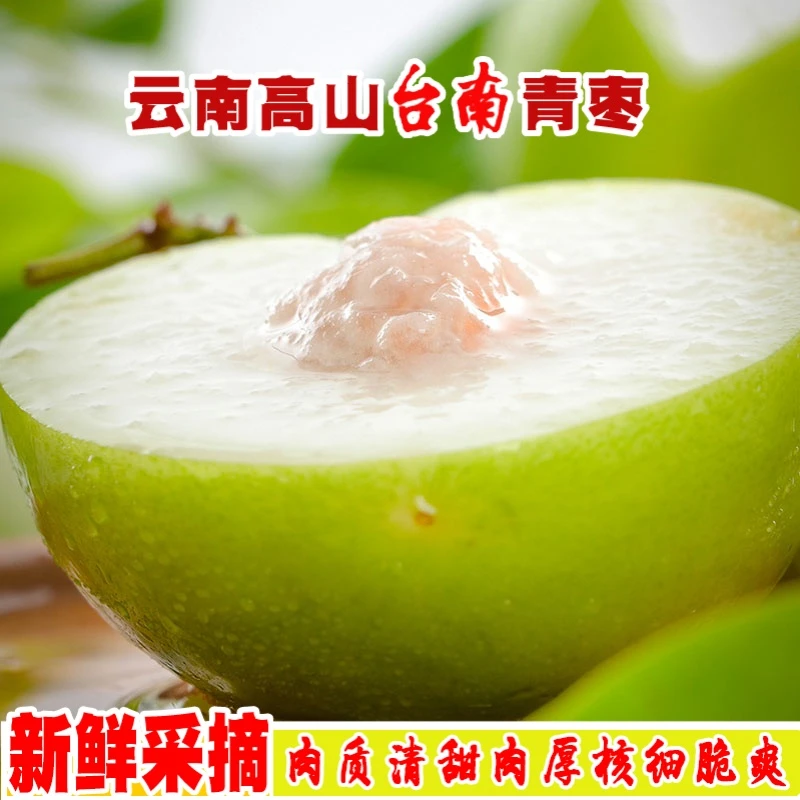 台南青枣新鲜云南大青牛奶枣新鲜大冬枣鲜枣水果脆枣子非苹果东枣