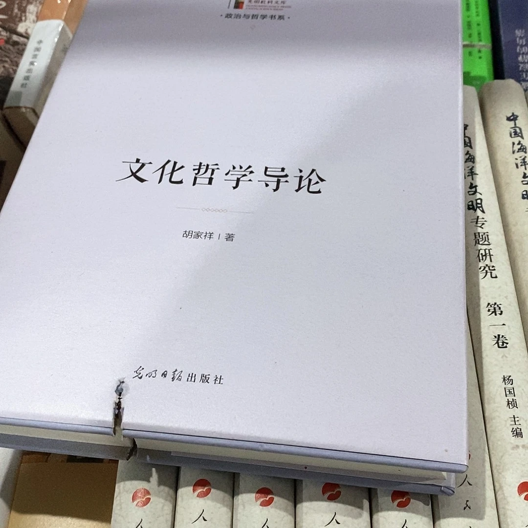 瑕疵锯口  文化哲学导论