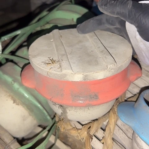 瓷片国营厂库存12厘米