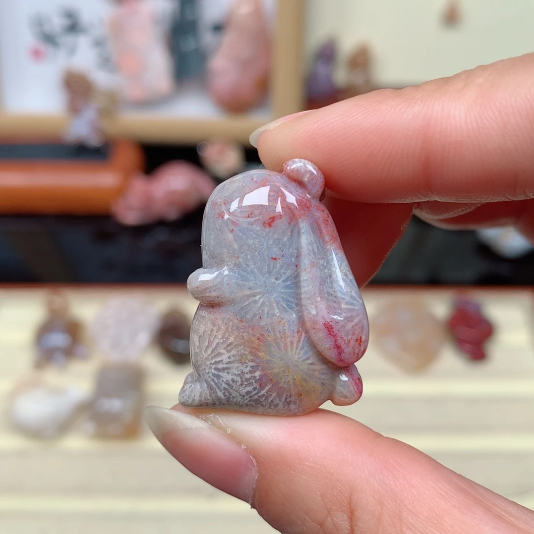 硅化玉珊瑚玉未镶嵌