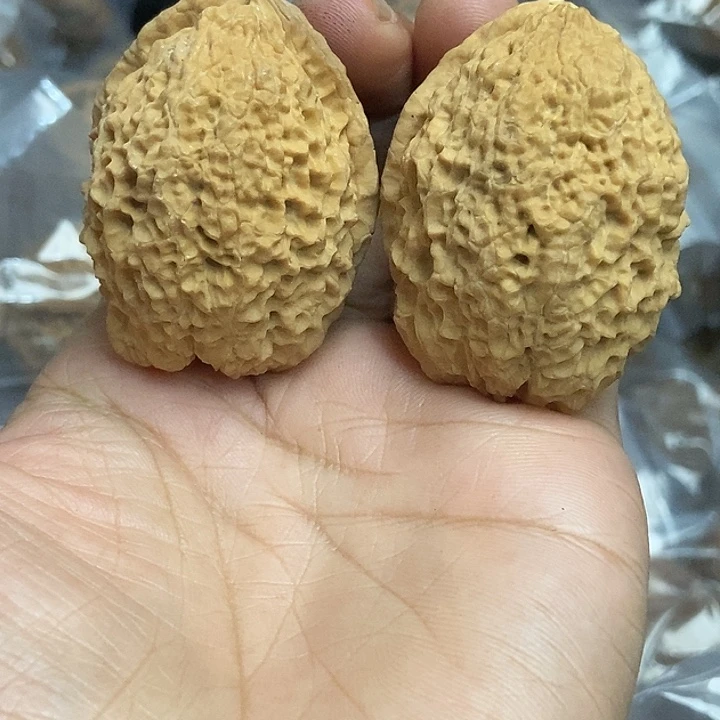 把件文玩核桃云南铁核桃基地73