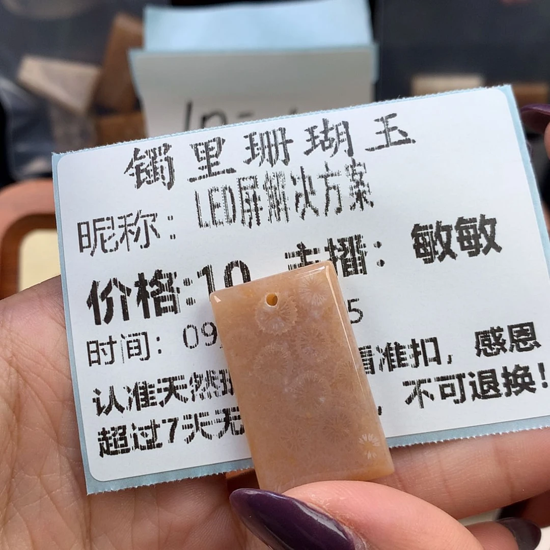 【闪购商品】颈饰未镶嵌硅化珊瑚（珊瑚玉）L****案