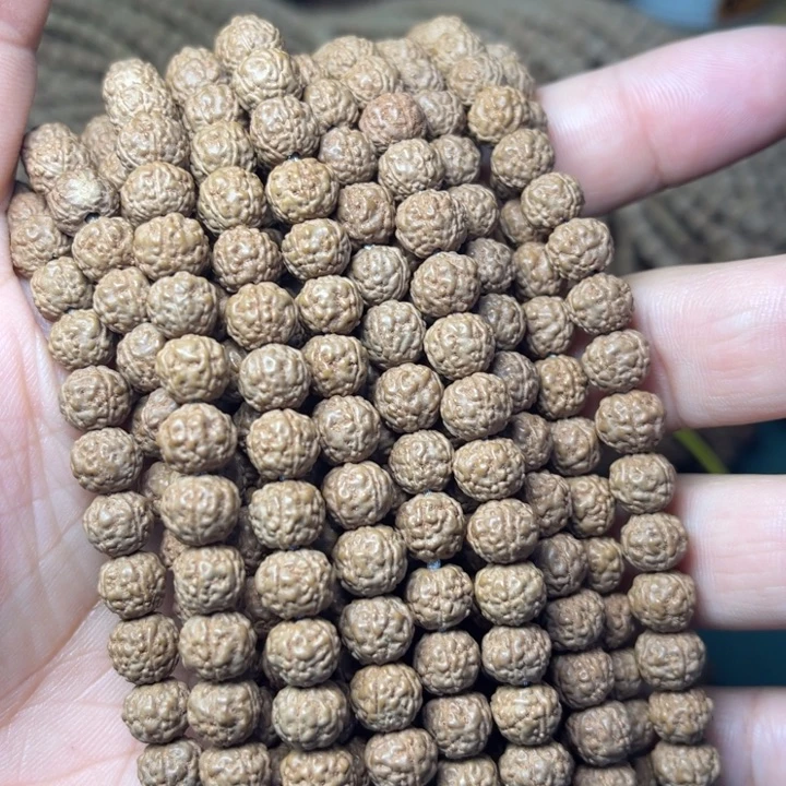 金刚菩提手串原生态一代盘龙原桩