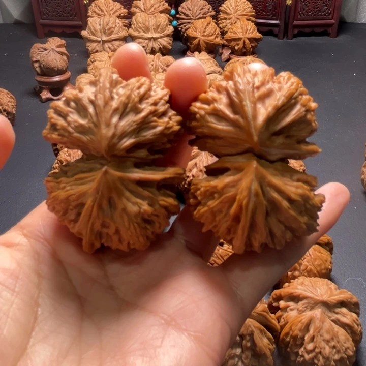 文山桥连50尺寸核桃哈哈哈哈哈哈