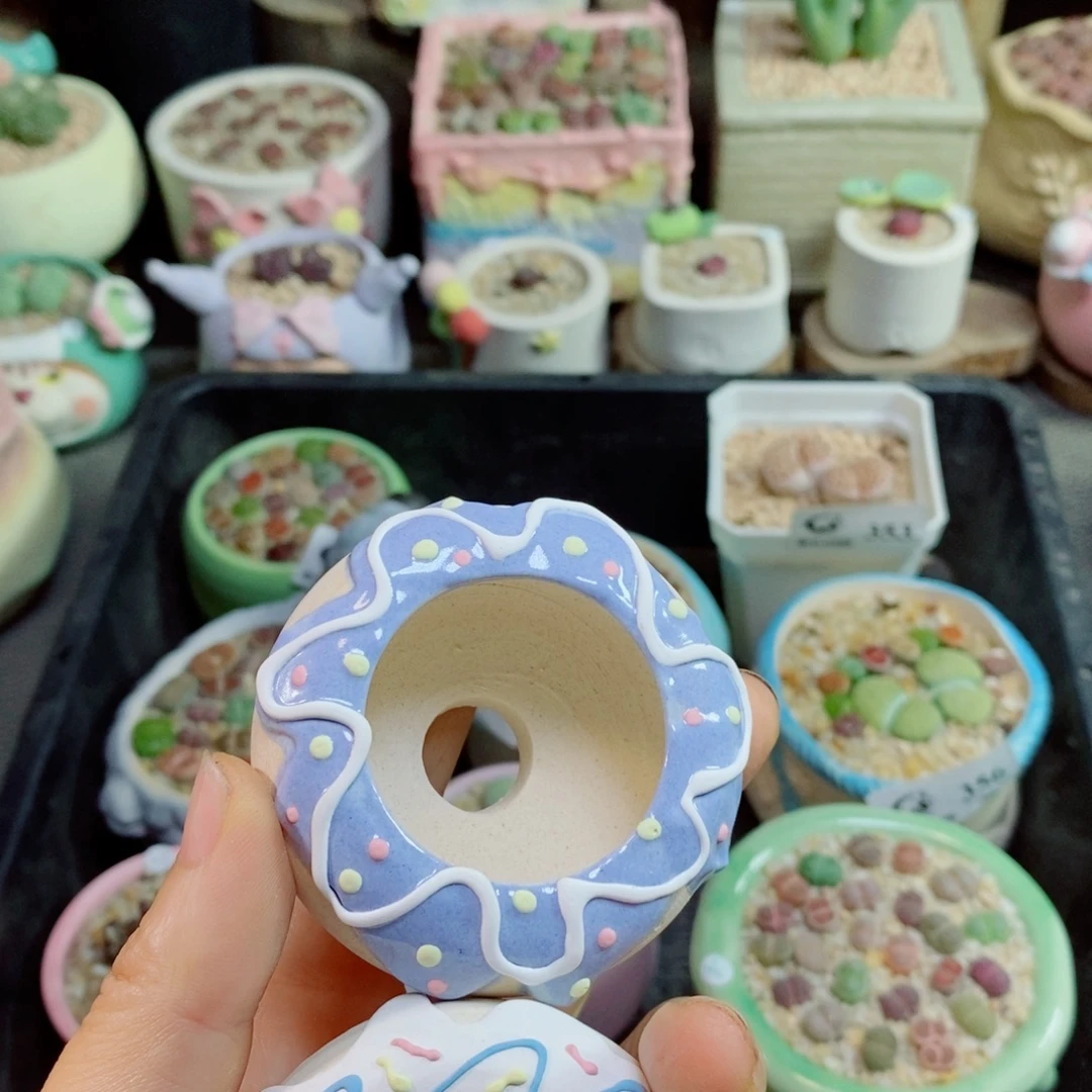 糯***团生石花花花花花花花398