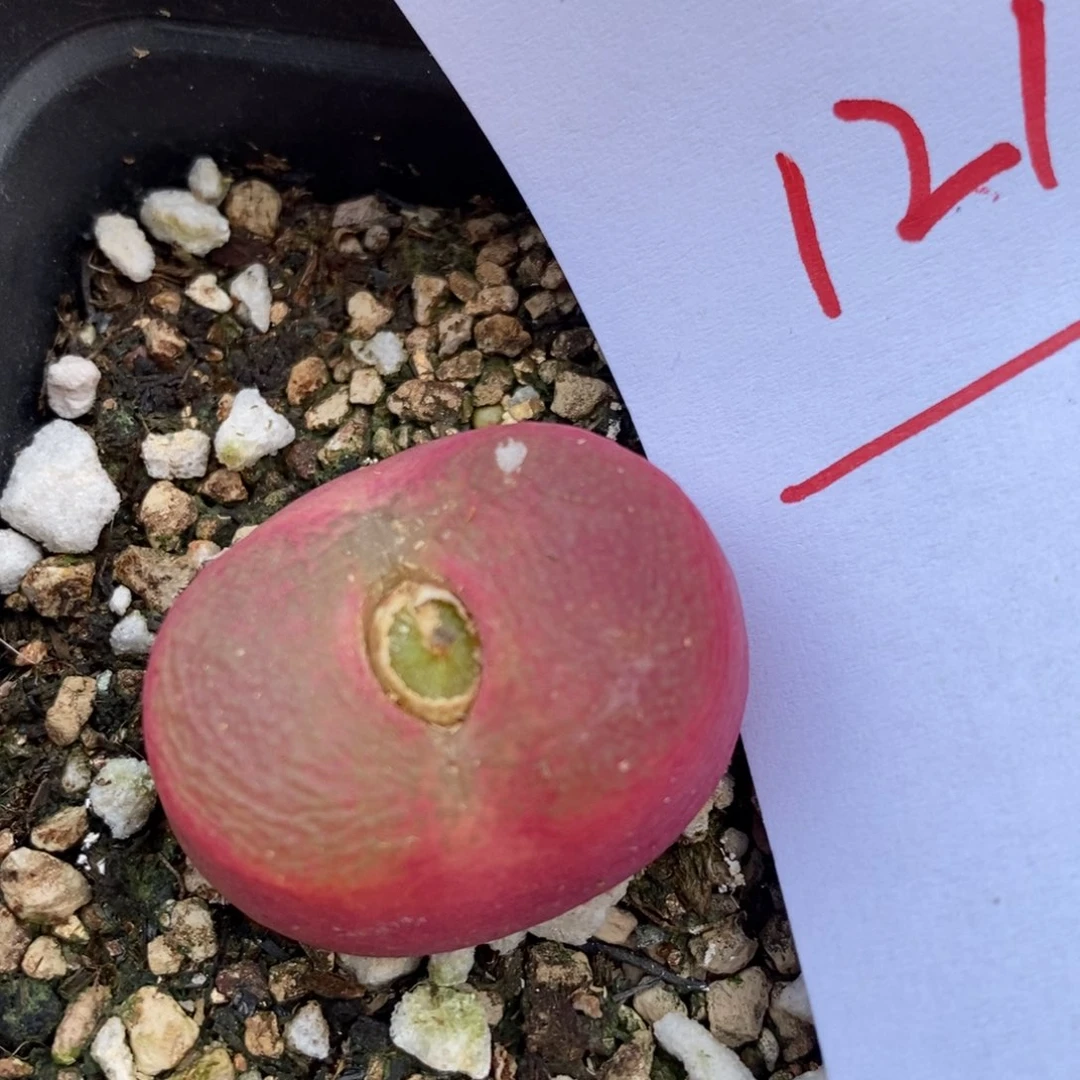 12110一组一组一组