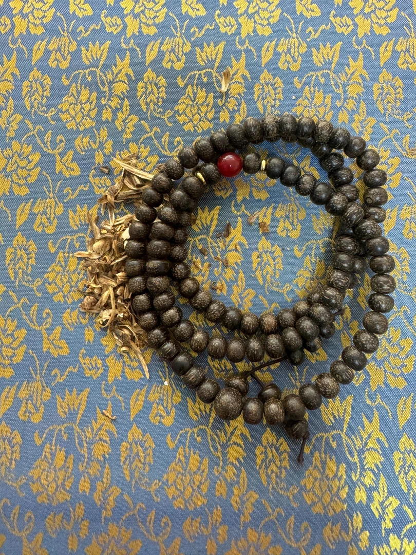 沉香B36馆藏芽庄沉水白奇楠沉香文玩