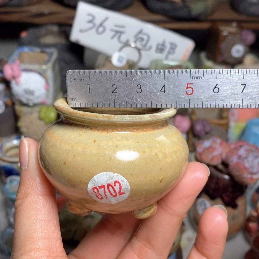 拍5送一个小礼物