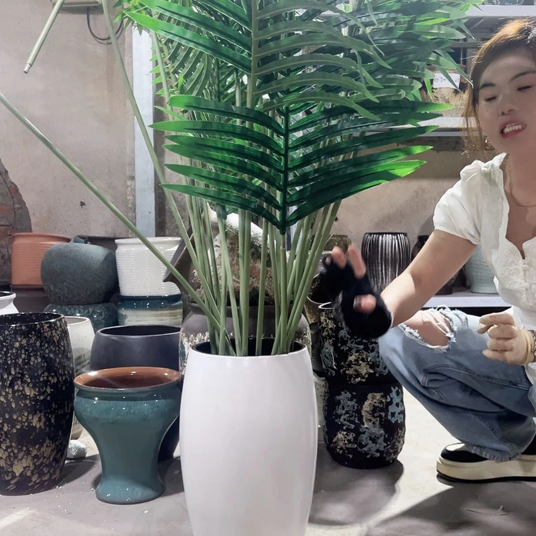 正品19/38////////////