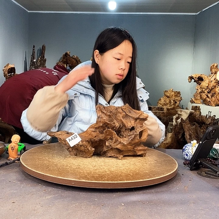 茶盏大*432株木的随行的根艺