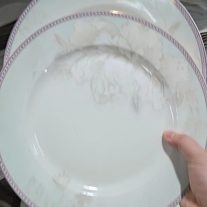 瓷片微瑕10寸2个大盘66666666