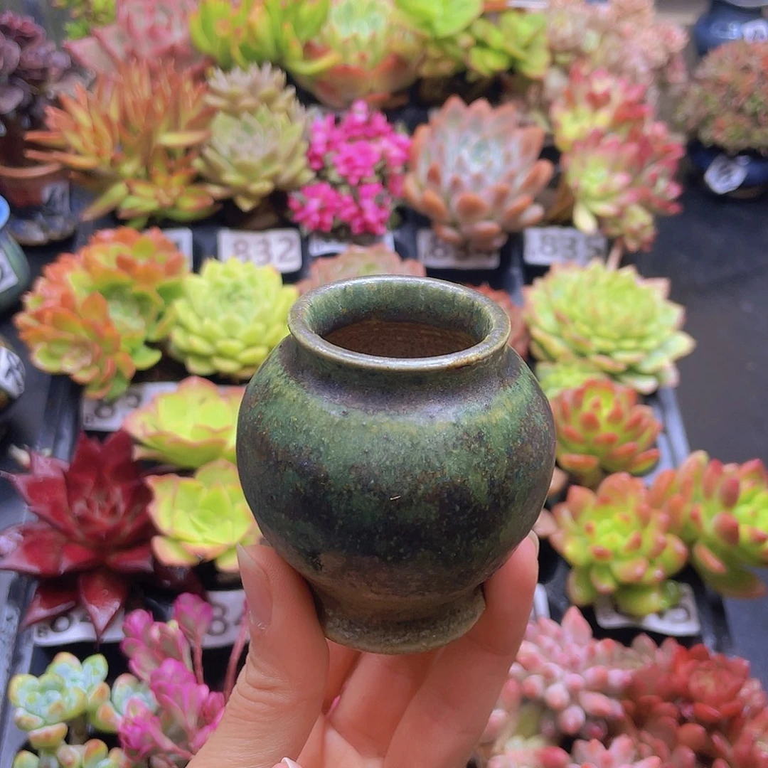 ****宝花钱花钱花钱花钱花钱